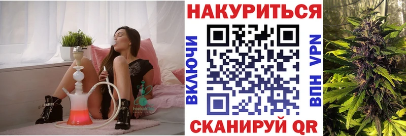 Конопля сатива  Якутск 